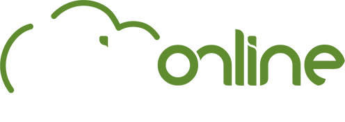 MIP Online